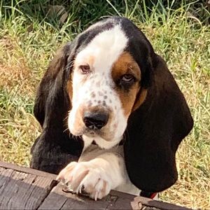 Meet your Posher, Katina